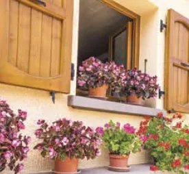 WHY DOES SUNFLEX OFFER WOOD NATURAL?